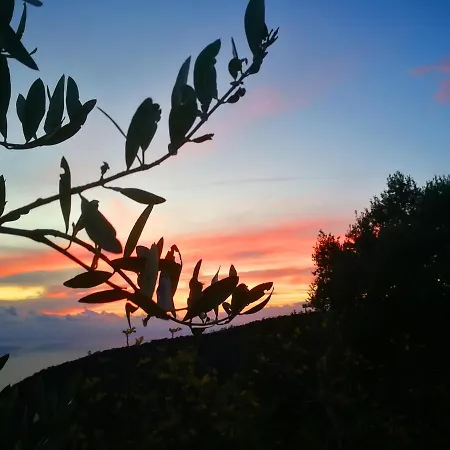 Alpesi faház La Torre Del Pittore Bonassola